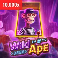 Cookie là gì và vai trò của chúng